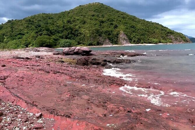 Geopark Red Coast Hopping Tour in Hong Kong - Who Will Love This Tour?