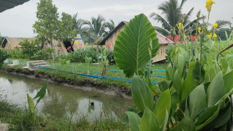 George Town: Balik Pulau Countryside Morning Cycling Tour - Final Thoughts