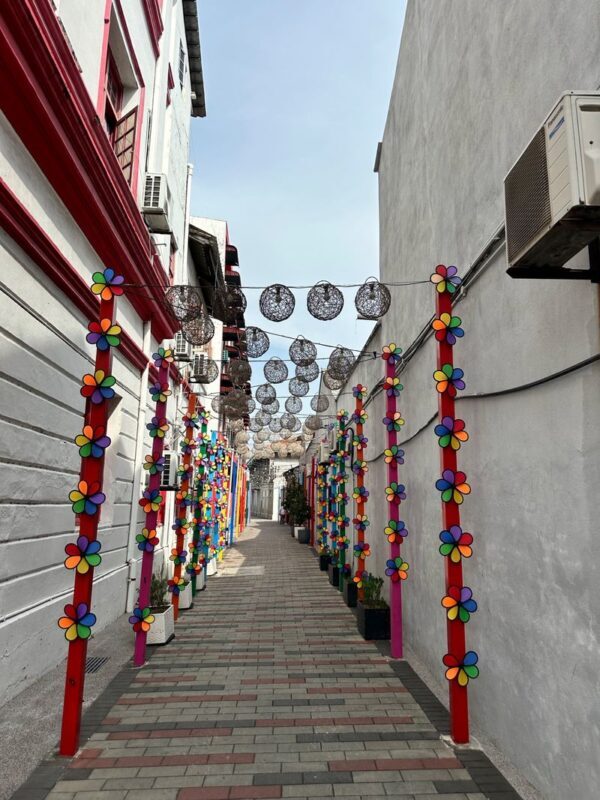 George Town Half-Day Multicultural Heritage Tour - Who should book this tour?