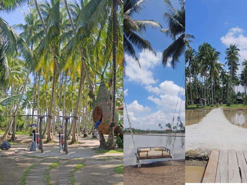 George Town: Penang Customizable Private Tour - Authentic Experiences Based on Reviews