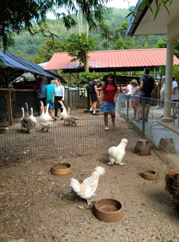 George Town, Penang: Malay Countryside Cycling - Good To Know
