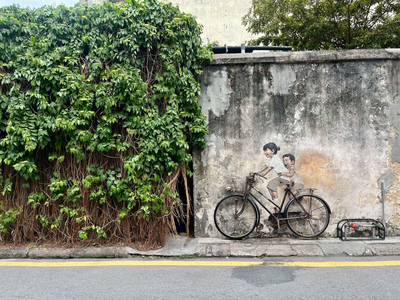 George Town World Heritage Half-Day Private Walking Tour - Weather, timing and other practical points
