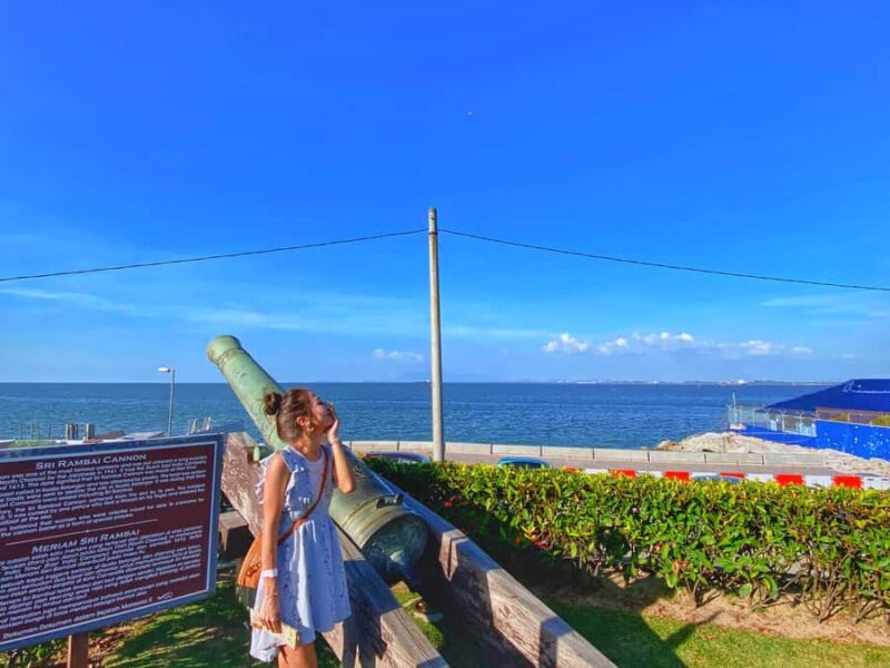 Georgetown: Culture, Forts & Reclining Buddha Half Day Tour - Who Should Consider This Tour?