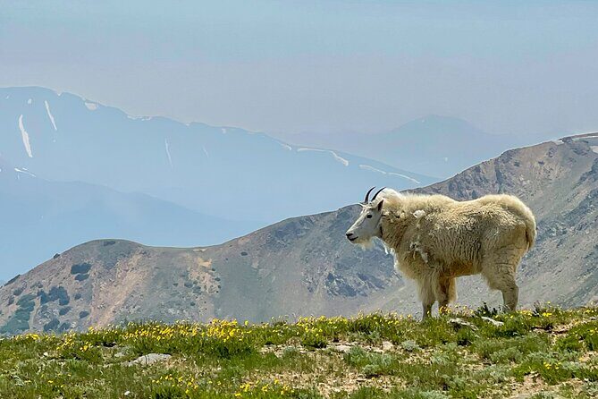 Georgetown via Guanella Pass Private Colorado Adventure Tour - The Sum Up