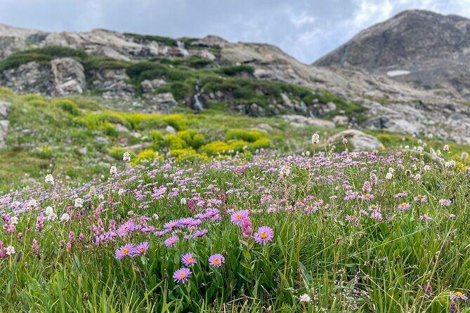 Georgetown via Guanella Pass Private Colorado Adventure Tour - FAQs