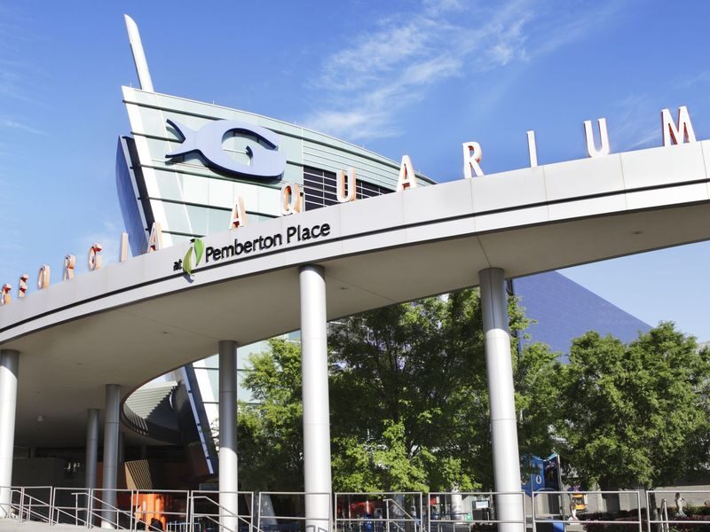 Georgia Aquarium Admission in Atlanta - Should you book Georgia Aquarium admission?