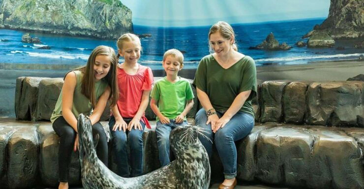 Georgia Aquarium: Harbor Seal Animal Encounter - Good To Know