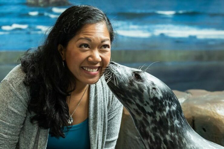 Georgia Aquarium: Harbor Seal Animal Encounter - Activity Details