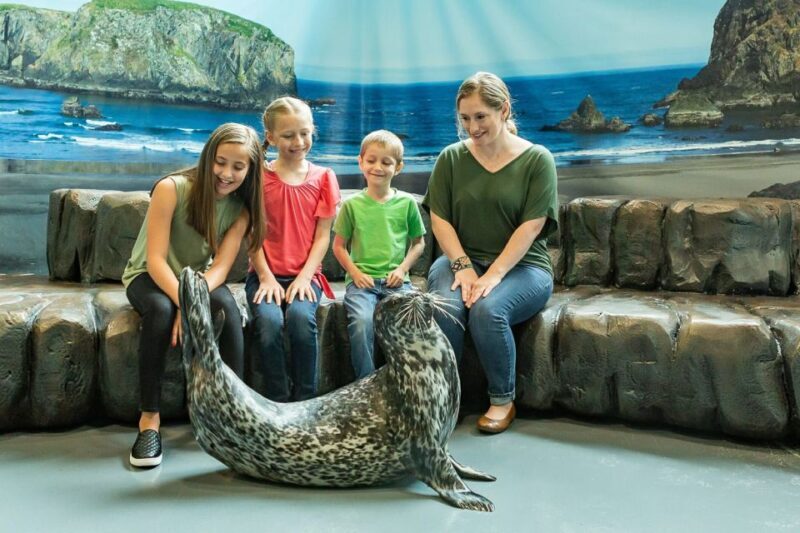 Georgia Aquarium: Sea Lion Encounter - Who Is This Tour For?