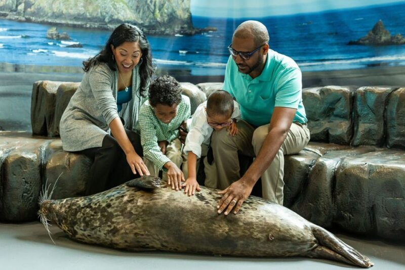 Georgia Aquarium: Sea Lion Encounter - The Sum Up