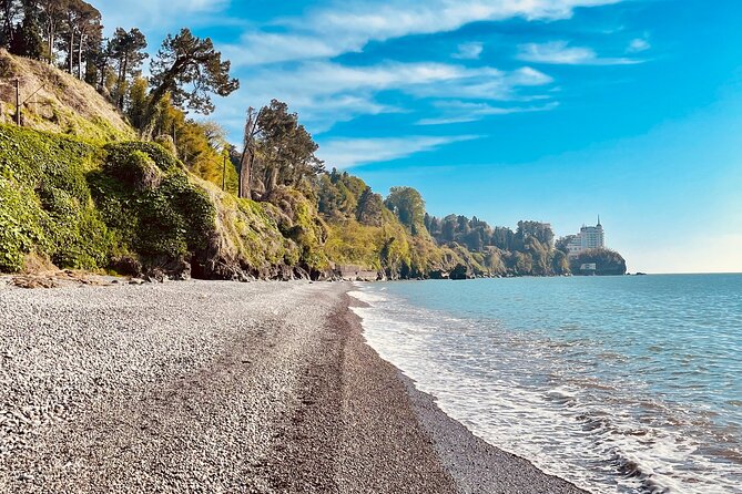 Georgia in 7 Days: A Haven for Nature and Sea Lovers - Arrival and Hotel Transfer