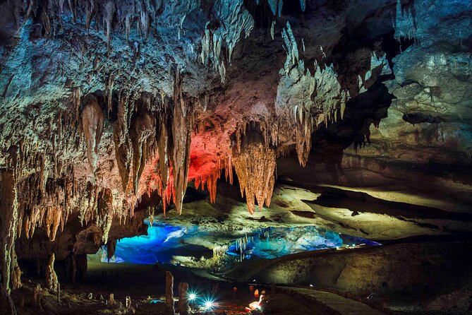 Georgia in 7 Days: A Haven for Nature and Sea Lovers - Journey Back to Tbilisi