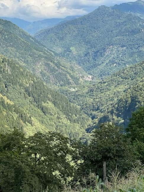 Georgia:Tbilisi, Batumi & batumi Private Tour with Guide - The Vine and the Valley: Kakheti’s Charm