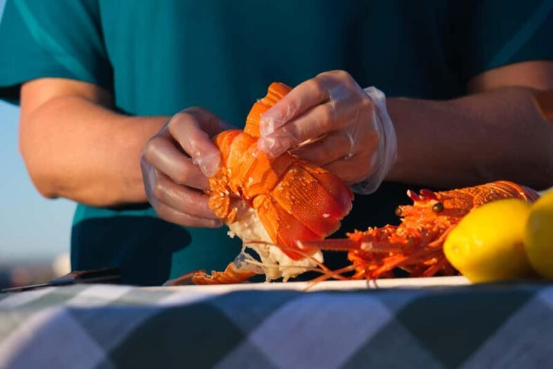 Geraldton: Behind-The-Scenes Ocean Harvest Tour - Good To Know