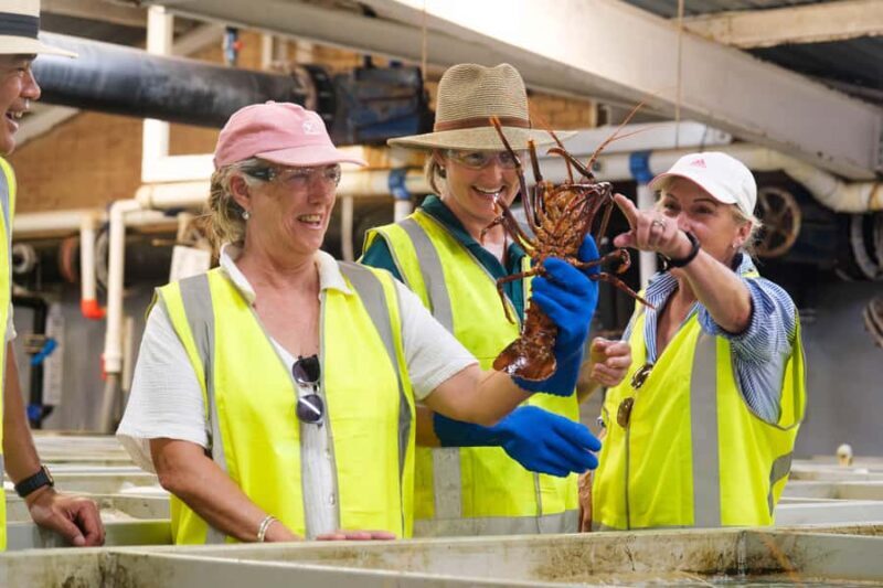 Geraldton: Behind-The-Scenes Ocean Harvest Tour - An Authentic Glimpse into Geraldton’s Maritime Heritage