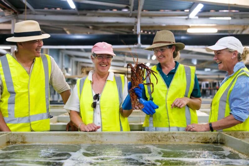 Geraldton: Behind-The-Scenes Ocean Harvest Tour - Practical Details & What You Should Know