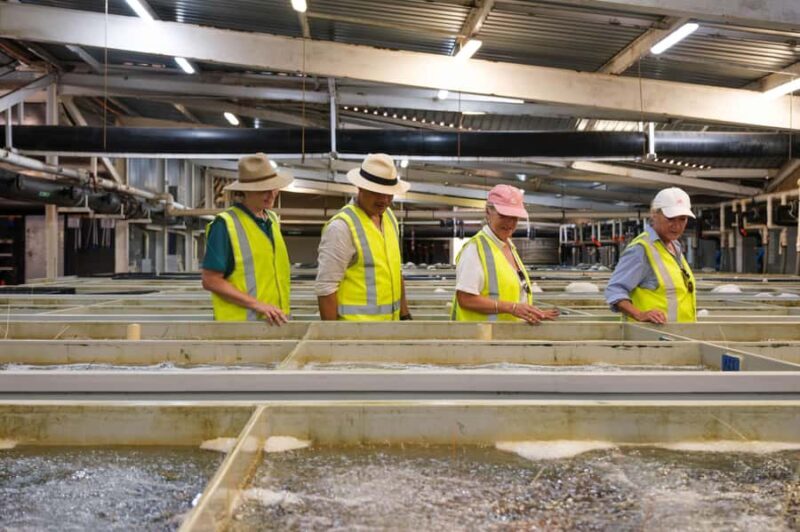 Geraldton: Behind-The-Scenes Ocean Harvest Tour - FAQs