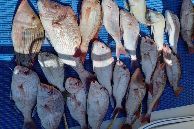 Geraldton Fishing Charter - Location and Meeting Point