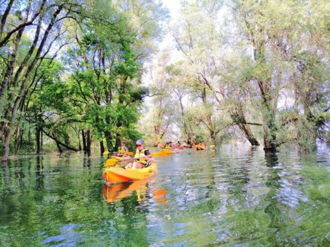 Géraudot: Excursion in the Bayou Champenois - Suitability and Cancellation Policy