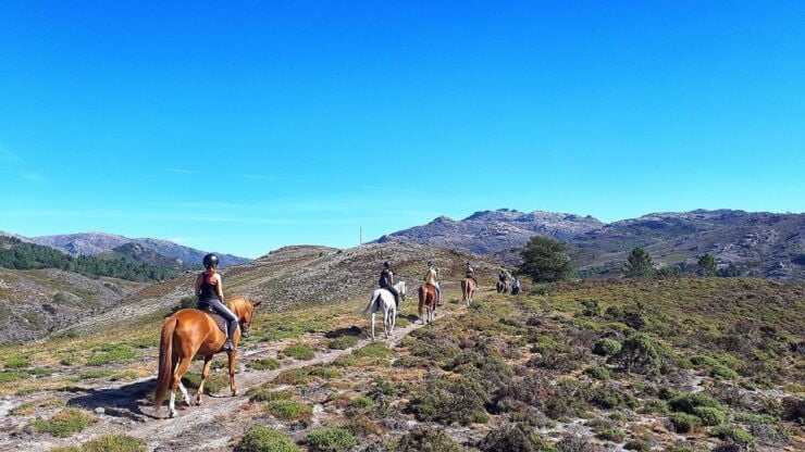 Gerês Braga: Horseback Ride in Peneda Gerês National Park - Booking and Flexibility