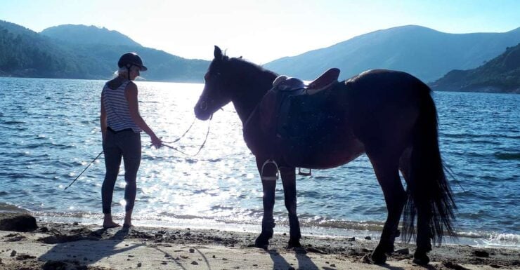 Gerês Braga: Horseback Ride in Peneda Gerês National Park - Experience Highlights