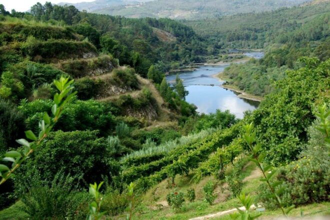 Gerês National Park Full Day Tour - Reservations and Optional Activities
