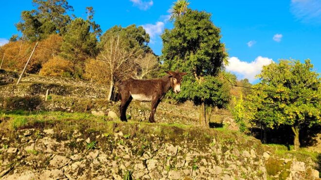 Gerias in a Sustainable Way - Overnight in a Convent