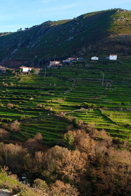 Gerias in a Sustainable Way - Transportation and Logistics