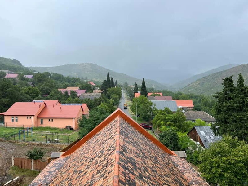 German village in Georgia (Elisabethal) & Wine tasting - A Closer Look at the Tour Experience