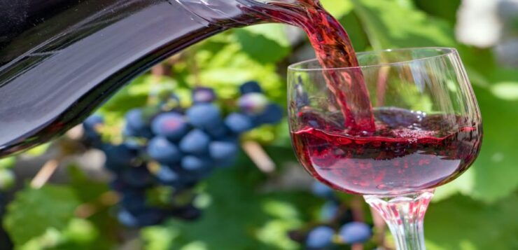 German Wine Tasting Tour at the Best Wine Bars in Berlin - Pricing and Reservations