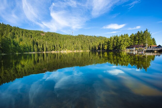 Germany Baden-Baden & Black Forest Private Day Trip From Strasbourg - Choose Between the Black Forest or German Wine Route