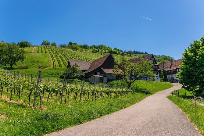 Germany Baden-Baden & Black Forest Private Day Trip From Strasbourg - Reviews and Feedback From Previous Travelers