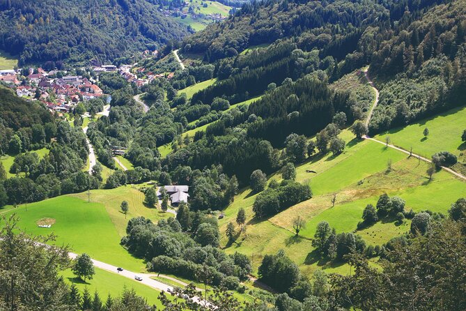 Germany Freiburg & Black Forest Private Day Trip From Strasbourg - Common Questions