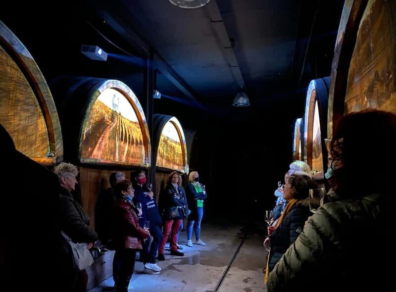 Gertwiller: Alsace Cellar Tour, Wine Tasting & Picnic Basket - An Authentic Taste of Alsace in a Historic Cellar