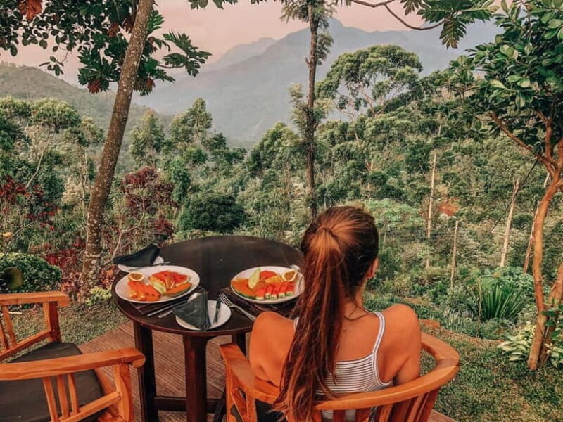 Get a private driver for day tours around Sri Lanka - Detailed Breakdown of the Tour Experience