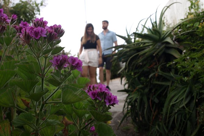 Get Lost in Sintra With a Local / From Lisbon - Common Questions