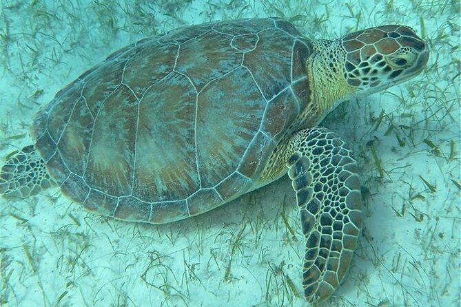 Get SCUBA Certified at San Juan - Final Thoughts