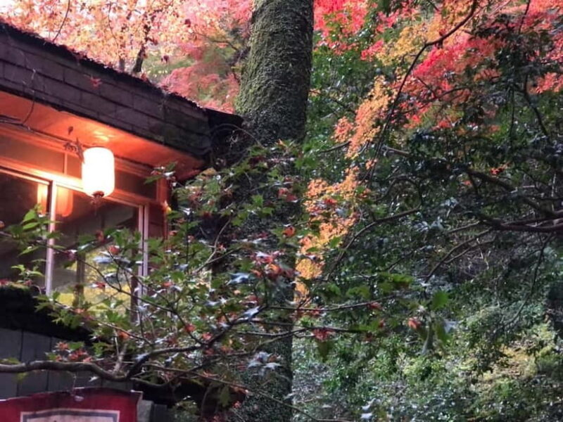 Get to know Minoo from Osaka. Katsuoji Temple, Ryuanji Waterfall and Ryuanji Temple - Analyzing the Experience’s Value