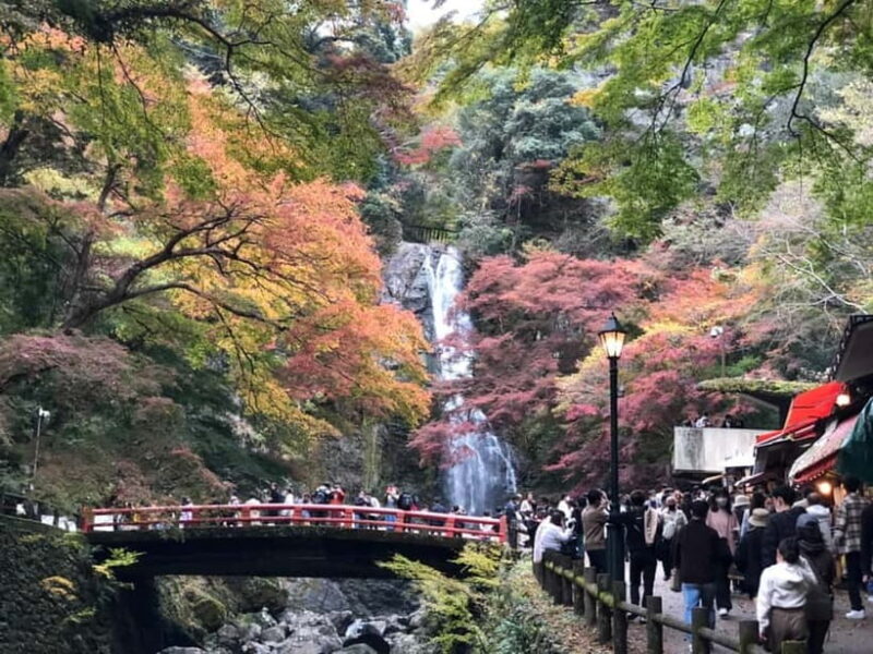 Get to know Minoo from Osaka. Katsuoji Temple, Ryuanji Waterfall and Ryuanji Temple - An In-Depth Look at the Tour Experience