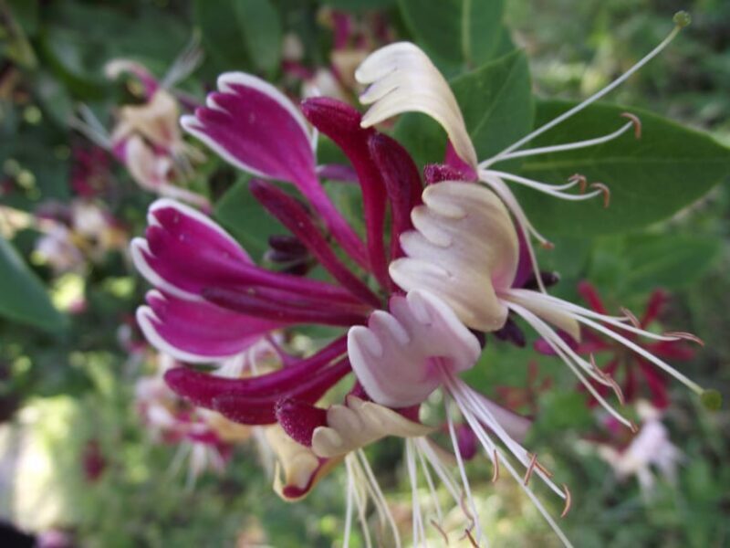 Get to know South Moravia with us. 6 hour tour. - Who Will Love This Tour?