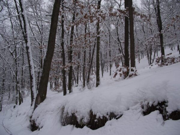 Get to Know South Moravia With Us. 6 Hour Tour. - Customer Feedback