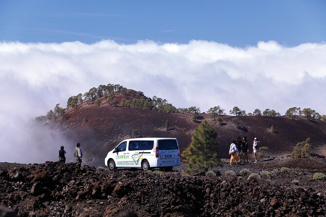 Get to Know the Teide National Park and the South of Tenerife on a Private Tour - Traveler Photos