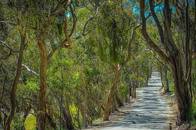 Get Uncorked in Clare Valley Tour From Adelaide - Common Questions