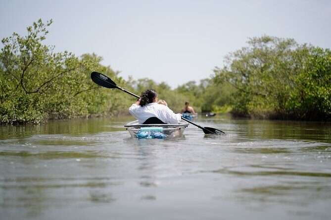 Get Up And Go Kayaking - New Smyrna Beach - Good To Know