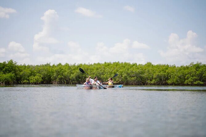Get Up And Go Kayaking - New Smyrna Beach - Practical Tips for Your Trip