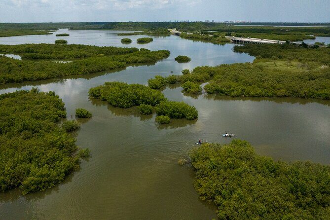Get Up And Go Kayaking - New Smyrna Beach - Final Thoughts: Is This Tour Worth It?