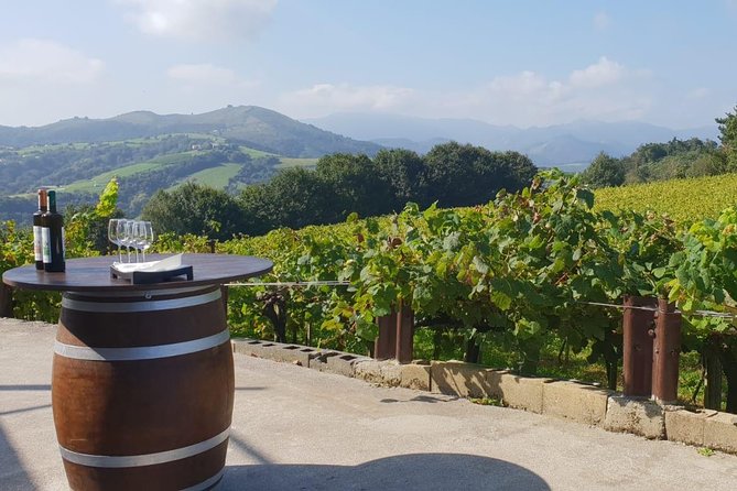 Getaria Txakoli Wine Tour With Hotel Pick-Up From San Sebastian - Cancellation Policy