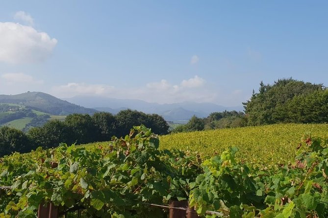 Getaria Txakoli Wine Tour With Hotel Pick-Up From San Sebastian - Hotel Pick-Up From San Sebastian
