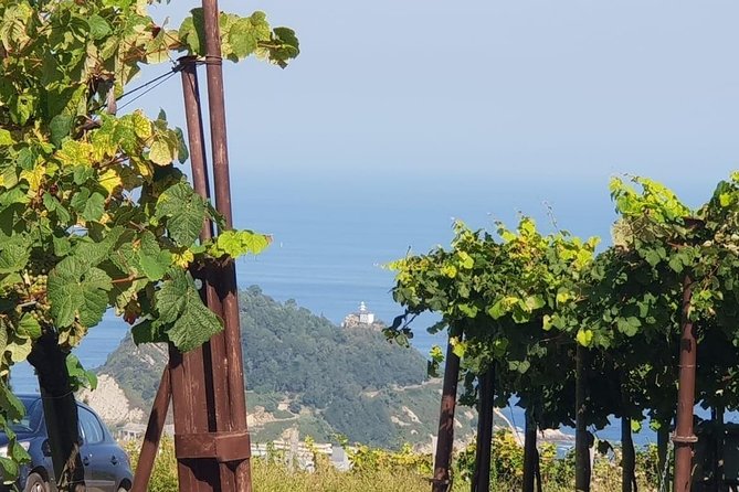 Getaria Txakoli Wine Tour With Hotel Pick-Up From San Sebastian - Common Questions