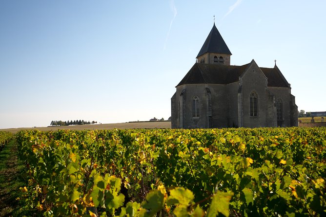 Getaway In The Vines From Gevrey Chambertin - Guided Half-Day Excursion